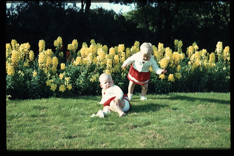 43.Zuiderpark sep 1964 Brigitte,Marion.JPG